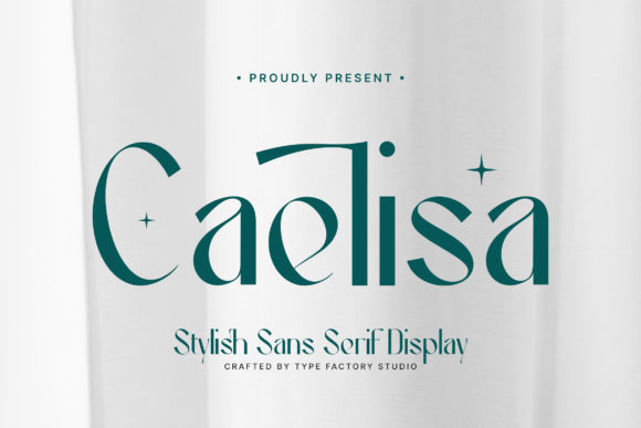 Caelisa: The Modern Sans Serif Display Font for Editorial Design