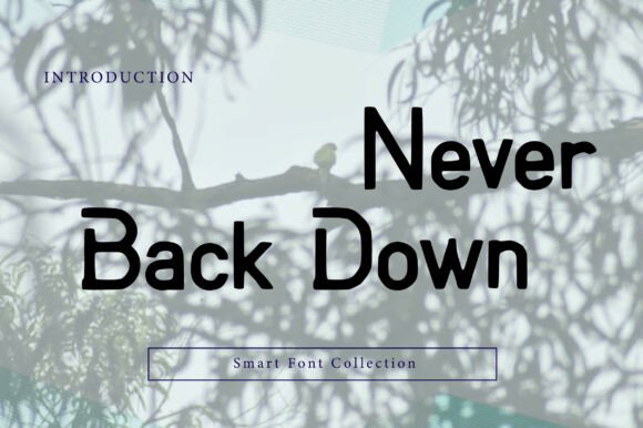 Never Back Down: The Bold Typeface for Scroll-Stopping Campaigns